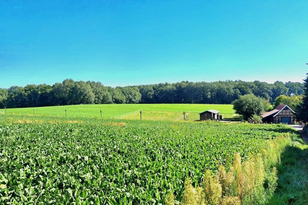 Das Bergherz Ruhe + Natur Pur Reken Exteriér fotografie