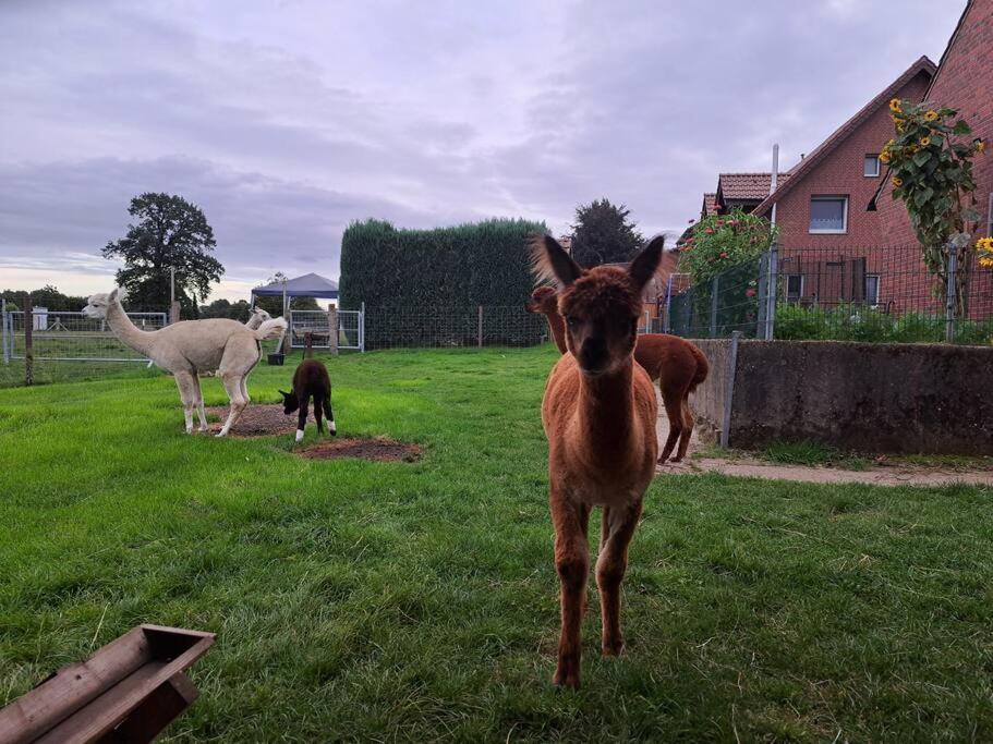 Das Bergherz Ruhe + Natur Pur Reken Exteriér fotografie